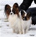 mikey och tizzla feb 2012 (2).jpg